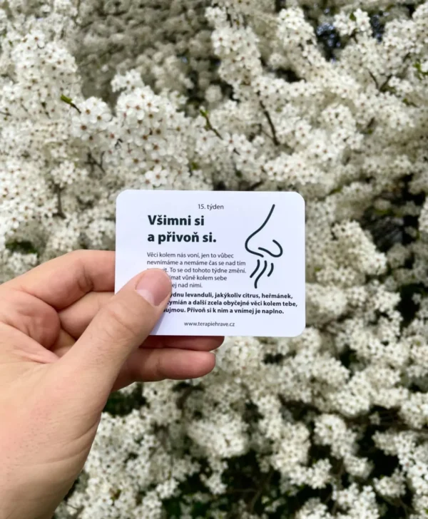 seberozvojová terapeutická karetní hra